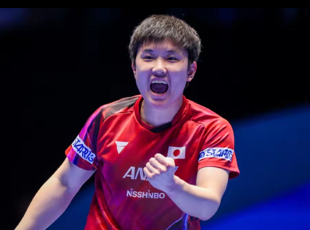 不仅仅是一 不仅仅是一