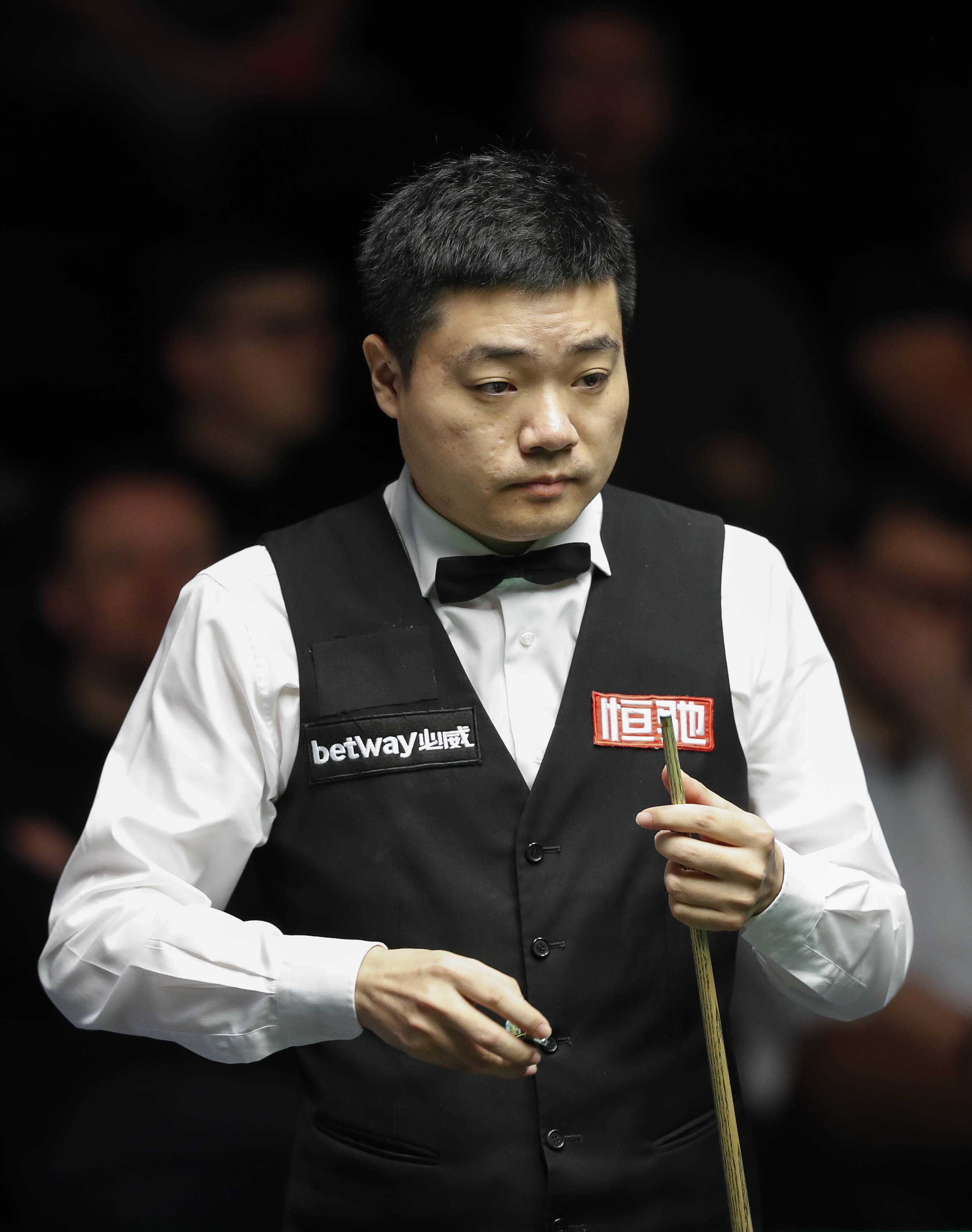 面的进步 面的进步